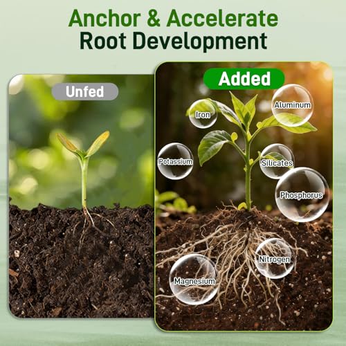 3QT Potting Soil Mix for Indoor Plants - Contains Perlite, Peat Moss, Coco Coir & Rice Charcoal, Natural & Organic Material with Well-Draining, Light & Aerated Texture for Healthy Roots & Fast Growth - view 4