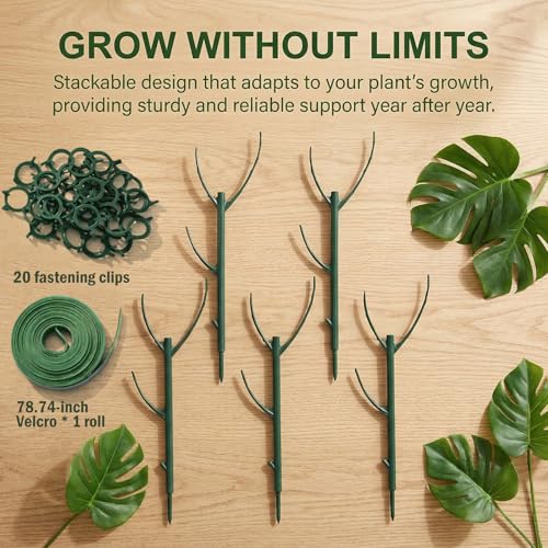 5 Pack Plant Stakes for Indoor Plants, Stackable Tomato Support - view 3