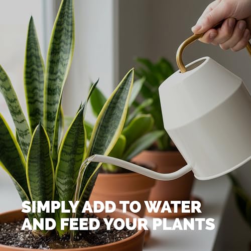 Indoor Plant Food, Complete Liquid Fertilizer for Houseplants, 32oz - view 5
