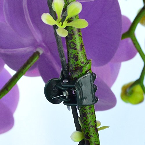 100 pcs Plant Clips, Orchid Clip Plant Orchid Support Clips Flower and Vine Clip for Supporting Stems Vines Grow Upright Dark Green - view 5