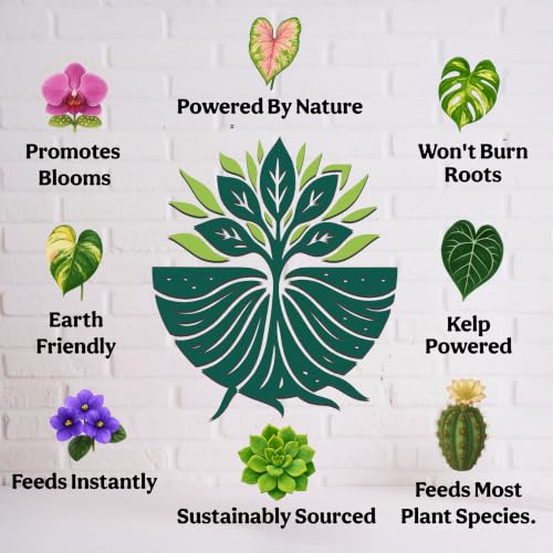 Organic Liquid Indoor Plant Food, Houseplant, Tropical & All-Purpose Indoor Plant Fertilizer, Organic Liquid Fertilizer 5-5-5 with Sea Kelp, 8oz Treats 50 Gallons - view 4