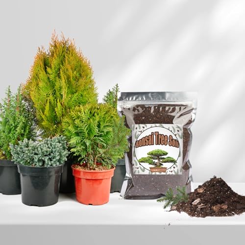 Bonsai Soil Mix 1qt Ready to Use, Organic Bonsai Tree Soil Fits for Small Bonsai Pot, Suitable for Bonsai Seedling, Repotting, or Bonsai Starter Kit - view 4
