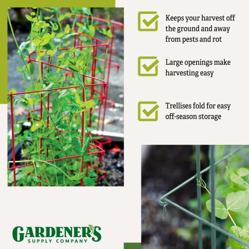 Gardeners Supply Company Sturdy Expandable Tall Pea Trellis for Climbing Plants | Multi-Use Heavy Duty Outdoor Garden Peas, Tomato, Cucumber Steel Plant Support | 9'-8" L x 37" H - Green - view 5