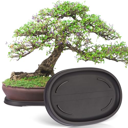 2 Pcs Bonsai Humidity Drip Tray for Plants,12.7 x 8.3 Inch