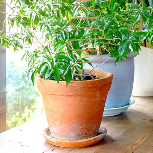 Small Metal Trellis for Potted Plants, Climbing Plant Support Stake - view 6