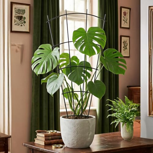 24" Metal Plant Trellis, Climbing Plant Support, 4 Pack Black - view 4