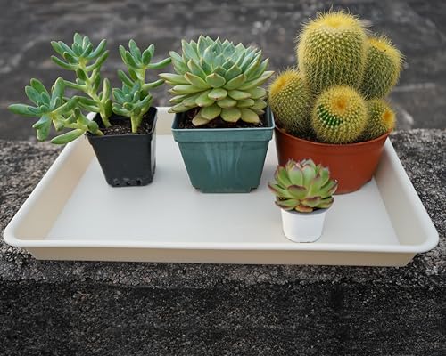 2 Pack Rectangular Plant Saucer Tray, Heavy Duty Plastic, Beige, 17.5" x 10.6" x 1.5" (2 pack), Plant Drip Trays for Pots, Seed Starter Growing Trays, Indoor/Outdoor Use - view 6