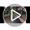 Plant Pot Covers, Interlocking Wooden Guard Cat Proof for Indoor Plants (15.75in) - view 7