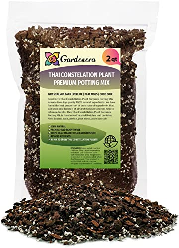 Premium Thai Constellation Monstera Soil Mix - Expertly Formulated for Strong and Healthy Roots - 2 Quart
