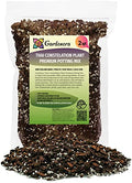 Premium Thai Constellation Monstera Soil Mix - Expertly Formulated for Strong and Healthy Roots - 2 Quart