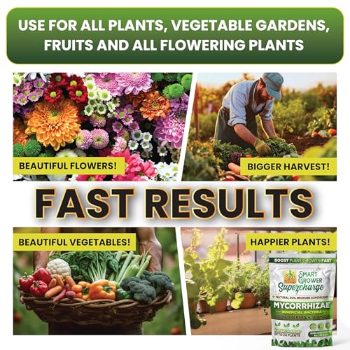 Mycorrhizae with Beneficial Bacteria for Plants - Supercharge - view 3