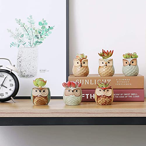 Owl Succulent Pots, Mini Ceramic Gift Pots with Drainage, Retro 6 Pack - view 6