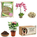 4 Quarts Natural Sphagnum Moss Potting Mix & 2 Pack Premium Coco Coir Brick for Plants- Potting Soil Mix Planting Growing Medium for Plants Gradening