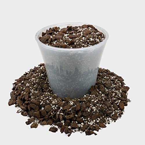 Professional Succulent Soil Premium All Purpose Blend | Pre-Mixed Ready to Use for Cactus and Succulents | Sphagnum Peat Moss, Perlite, New Zealand Pine Bark - Made in USA - 20 Quart - view 2