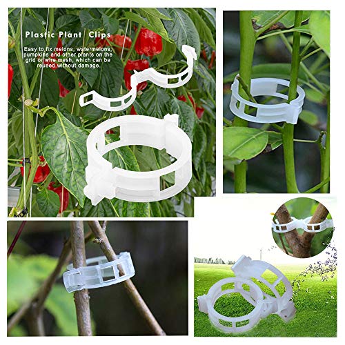 300 PCS Plant Support Garden Clips,Tomato Vine Clips,Durable Crop Clips in White for Flower Vine Twine Tomato Orchid to Grow Upright and Healthier - view 5