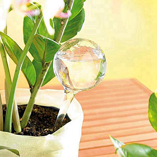 5 Pcs Automatic Watering Device Globes Vacation Houseplant Plant Pot Bulbs Garden Waterer Flower Water Drip Watering, Transparent - view 3