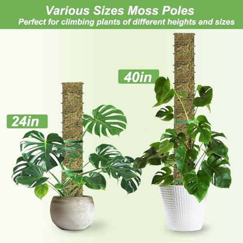60"/40"/24" Metal Moss Pole, D Shape Sphagnum Moss Pole, Moss Poles for Climbing Plants, Monstera, Indoor Climbing Plants (2 Each of 40" 24") - view 2