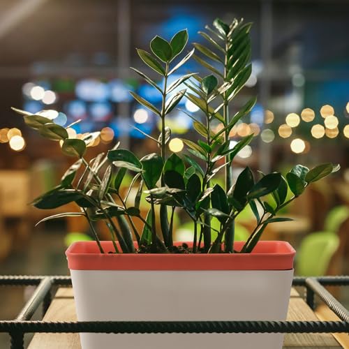 6 Set Window Herb Planter Box Self Watering Plant Pots 10.6 Inch Rectangular Herb Pots Decorative Garden Flower Box for Indoor, Succulent,Vegetables, Flowers - view 4