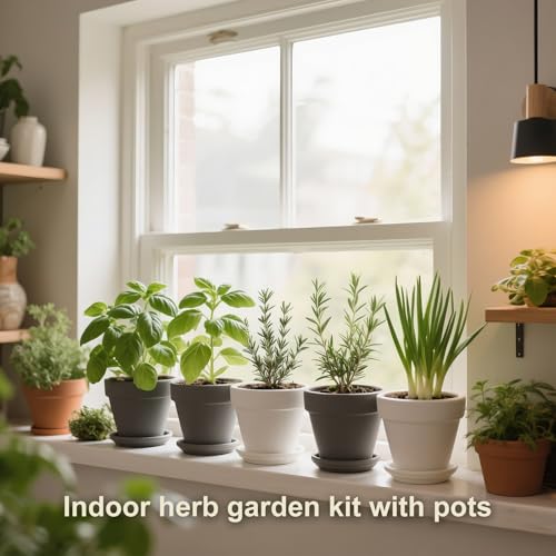 10 Indoor Herb Garden Kit, 33-Piece Complete Kitchen Herb Starter Set - view 5