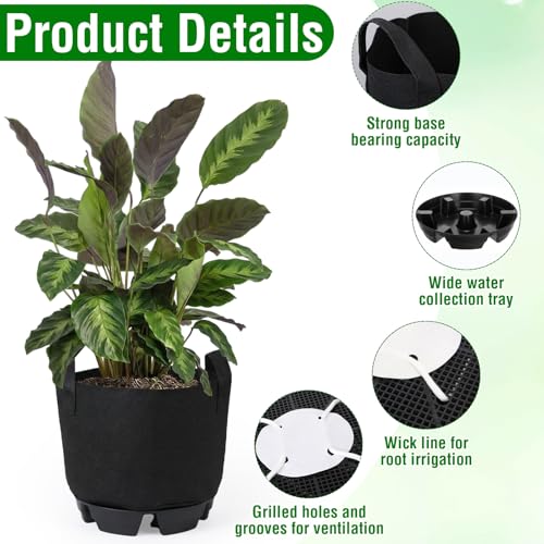 6 Set 5 Gallon Grow Bag Self Watering Fabric Pot Base Automatic Watering System Plant Nonwoven Grow Bag Handle Plant Saucer Elevate Flower Tray for Garden Indoor Outdoor Greenhouse (Black) - view 3