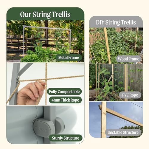 9.5ft Long Tomato Metal Frame Trellis, Garden Trellis for Climbing Plants Like Cucumber Beans Tomatoes & Vines, (Garden Beds Not Included) - view 4