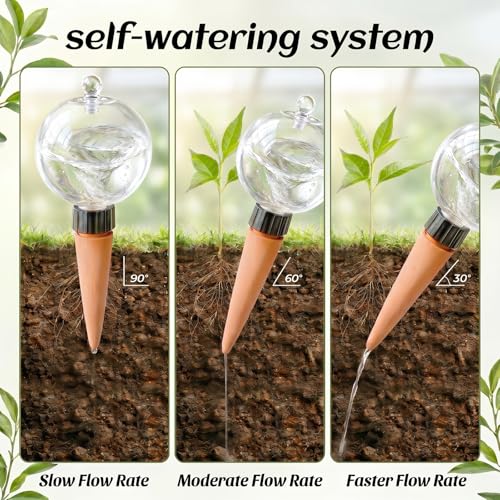 6 Pack 26 oz Extra Large Plant Self Watering Globes to 3 Weeks Watering - view 6