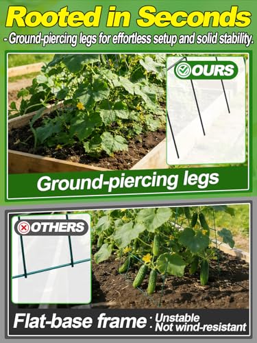 2Sets Cucumber Trellis for Raised Garden Bed - 59" L x15.7'' W 4.5mm Wire Heavy Duty Weather-Resistant Foldable A-Frame Metal Plant Support, for Squash Pole Bean Climbing Plants Vegetables Outdoor - view 2