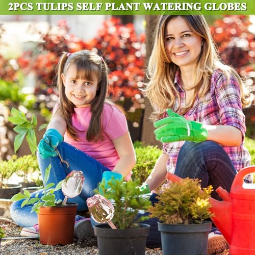 2Pcs Tulips Self Plant Watering Globes, Glass Self Watering Planter Insert, Automatic Plant Waterer Devices Indoor Outdoor (Pink) - view 4