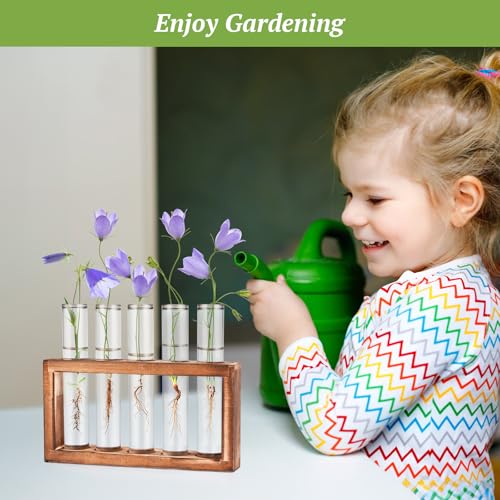 2pcs Desktop Glass Plant Propagation Station (10 Tubes) - view 6
