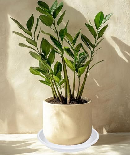 2 Pack of 16 inch Plant Saucer, Large Plant Tray, Heavy Sturdy Plant Drainage Tray for Indoors, Bird Bath Bowls, Sturdy Plastic Pot Tray for Planter (White) - view 5