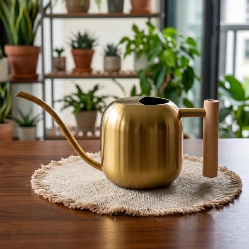 Watering Can Indoor Plants with Long Spout, 1.2L / 41oz (Glod)