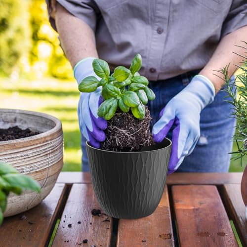 6 inch Plant Pots, 5 Pack Flower Pots with Drainage Holes and Saucers for Indoor Plants, Plastic Planters with Water Ripple for Small Garden House Plants, Nursery Pots for Succulent, Black - view 4