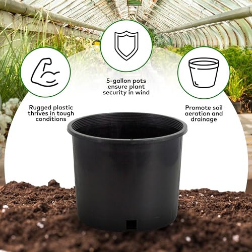 Pro Cal Wide Rim Nursery Pots, 5 Gallon, Set of 5, Injection Molded - view 2