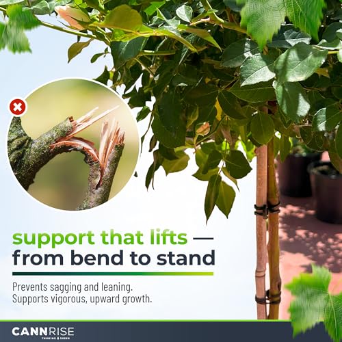 Anchor Bands for Trellising - 33-Pack 12 cm/4.72 in Rubber Vine Ties, UV-Protected Bands: Grapevines, Trees & Climbing Plants – Tool-Free Loop-and-Anchor Design for Install, Weatherproof - view 5