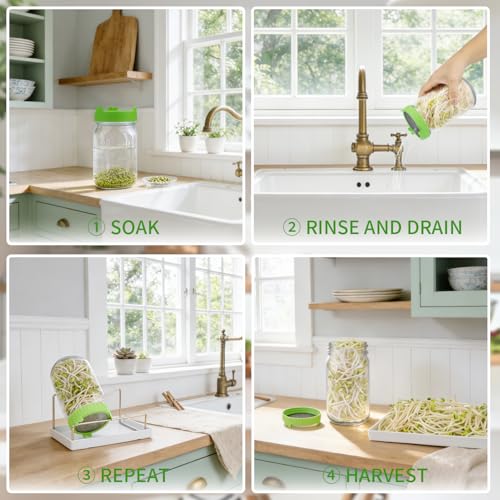 Seed Sprouting Jar Kit with Mung Beans 2.9oz, 2 Large Wide Mouth Mason Jars with Sprouting Lids, Blackout Sleeves, Drain Tray, Sprouts Growing Kit for Growing Bean, Alfalfa, Radish Sprout Seeds - view 4