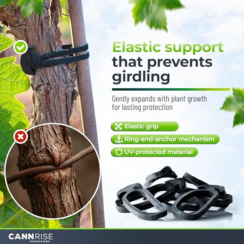 Anchor Bands for Trellising - 33-Pack 12 cm/4.72 in Rubber Vine Ties, UV-Protected Bands: Grapevines, Trees & Climbing Plants – Tool-Free Loop-and-Anchor Design for Install, Weatherproof - view 3
