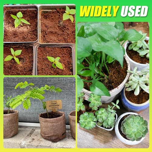 6 Pack Coco Coir Bricks for Plants 100% Organic Peat Moss - view 3