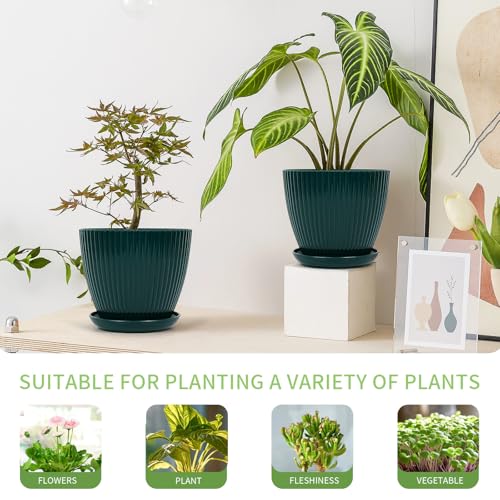 Plant Pots Indoor with Saucers & Drainage - 6 Pack Flower Pots - Plastic Planters for Indoor Planter - 7.5/6.6/5.8/5.0/4.3/3.5 inches Sizes for All Different Types of Plants-Dark Green - view 3