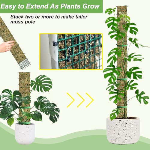 60"/40"/24" Metal Moss Pole, D Shape Sphagnum Moss Pole, Moss Poles for Climbing Plants, Monstera, Indoor Climbing Plants (2 Each of 40" 24") - view 4