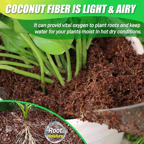 6 Pack Coco Coir Bricks for Plants 100% Organic Peat Moss - view 6