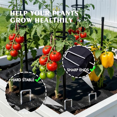Landscape Staples 50 Pack 8 Inch Heavy-Duty Galvanized Garden Stake - view 4