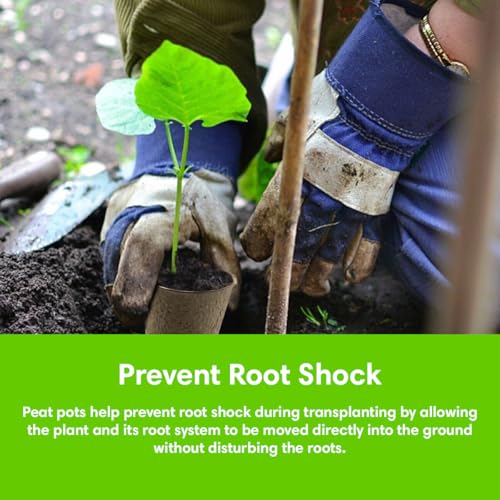 Seed Starter Kit - 10 Peat Pots, Coco Coir Discs & Markers - view 4