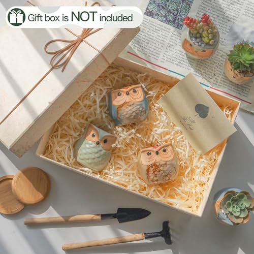 Owl Succulent Pots, Mini Ceramic Gift Pots with Drainage, Retro 6 Pack - view 5