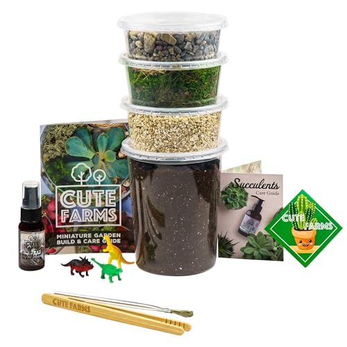 Terrarium Starter Kit | Moss, Vermiculite, Soil, Pebbles, Plant Food, Finishing Tools, Build and Care Guide | DIY Succulent Terrarium for Adults and Kids (Large)
