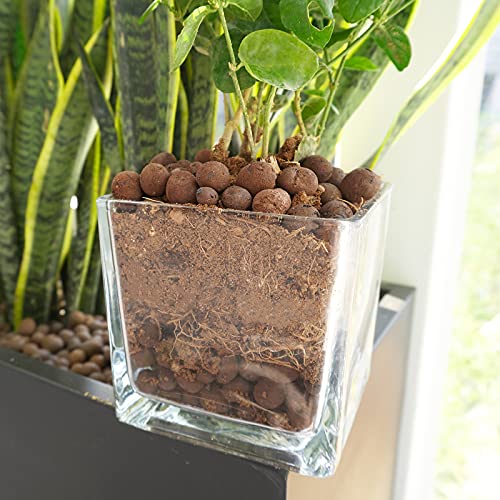 Leca Expanded Clay Pebbles 5LBS Grow Media for Indoor Plants Hydroponic Growing Gardening System Supplies … - view 4