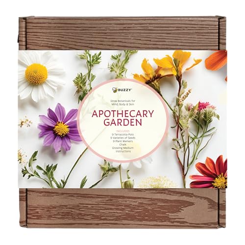 Seeds Apothecary Wellness Kit, Terracotta Pots, Lavender & Herbs