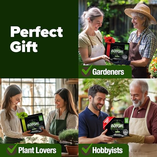 Bonsai Tree Starter Kit, Grow 4 Bonsai Trees, Gardening Gift - view 4
