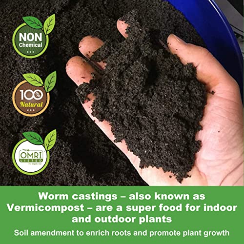 20 oz 100% Organic Worm Castings – Natural Superfood for Plant Growth, Root Development & Growing Healthier, Stronger Crops – Non Toxic & Kind to Soil – Resealable Zip Pouch - view 3