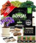 Bonsai Tree Starter Kit, Grow 4 Bonsai Trees, Gardening Gift