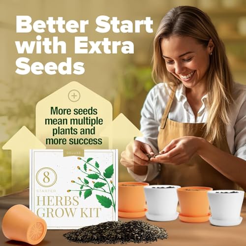 8 Herb Garden Kit, Indoor Growing Kit, Gardening Gifts for Women - view 4